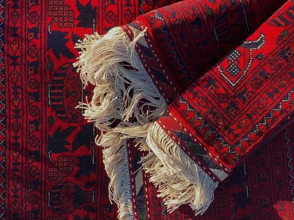 تمیز شدن ریشه فرش